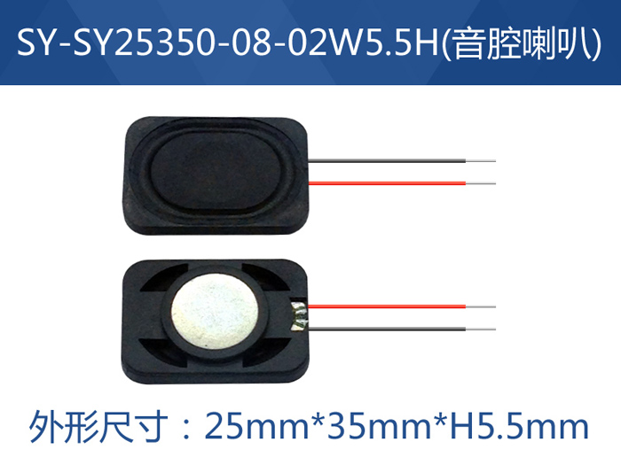SY-SY25350-08-02W5.5H